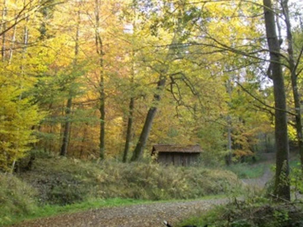 Landgasthaus Zum Engel Freiamt Dış mekan fotoğraf