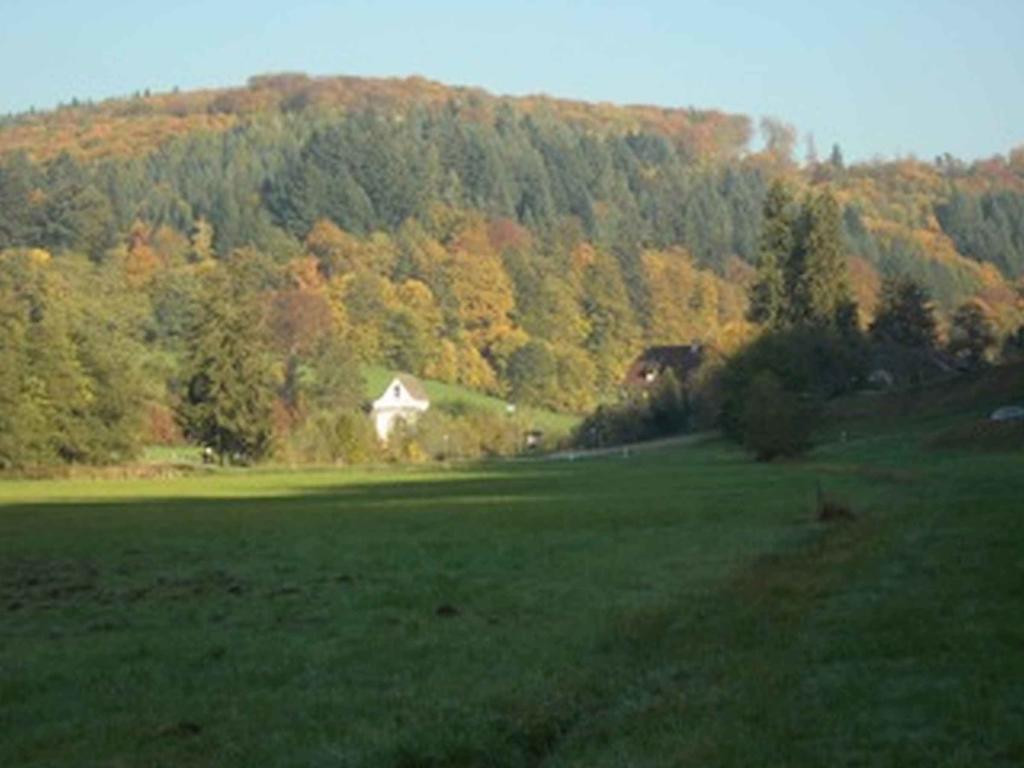 Landgasthaus Zum Engel Freiamt Dış mekan fotoğraf