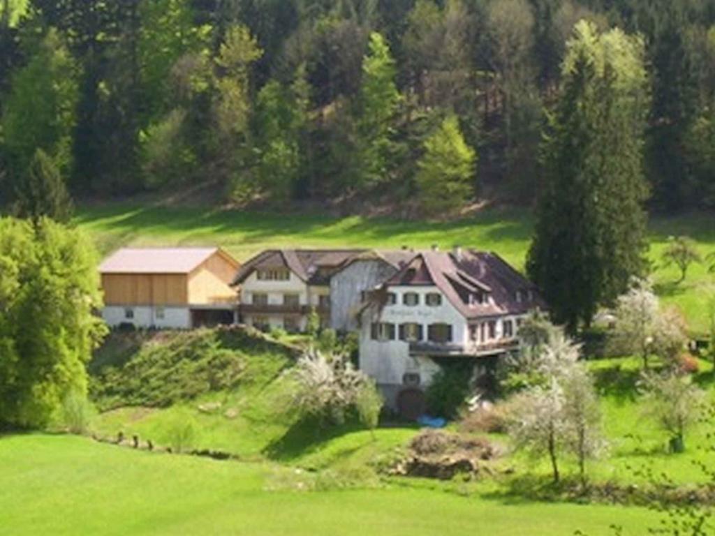Landgasthaus Zum Engel Freiamt Dış mekan fotoğraf